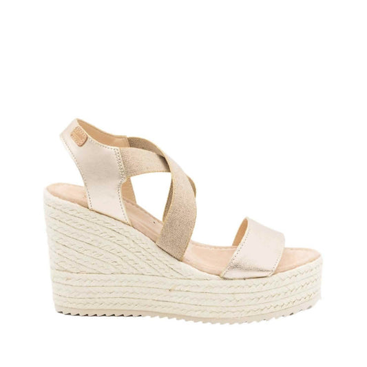 Colour_Lightgold(Platino) | Castell Retro 2159 H